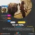 اکانت قانونی Far Cry Primal برای PS5 & PS4